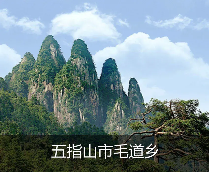 五指山市毛道乡